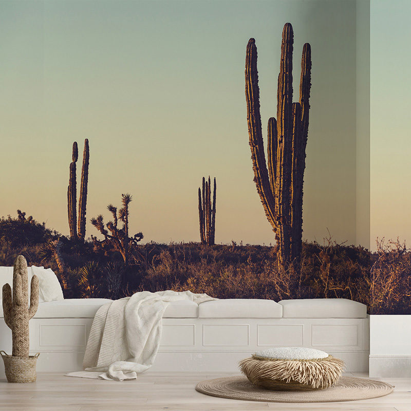 Cactus mural on a wall behind a white seat