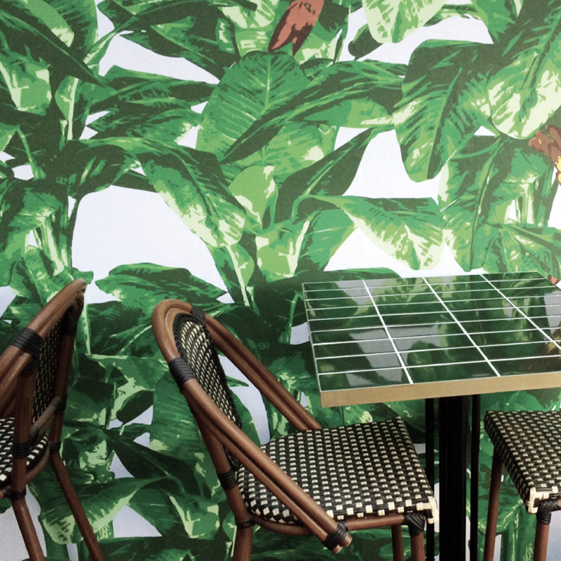 Tropical wallpaper on a wall in a cafe