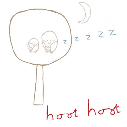 Large Hoot Hoot removable wall sticker for boy