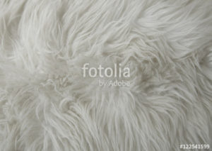 Custom Texture Mural Image - White Fur