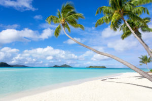 Custom Beach Mural Image - Paradise