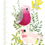 Native-birds-Height-Chart-1
