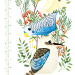 Native Birds Height Chart Close up 2