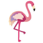 flamingo