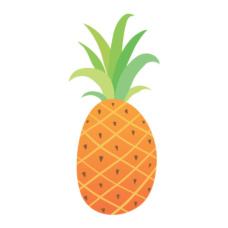 Tropical Icons pineapples orange