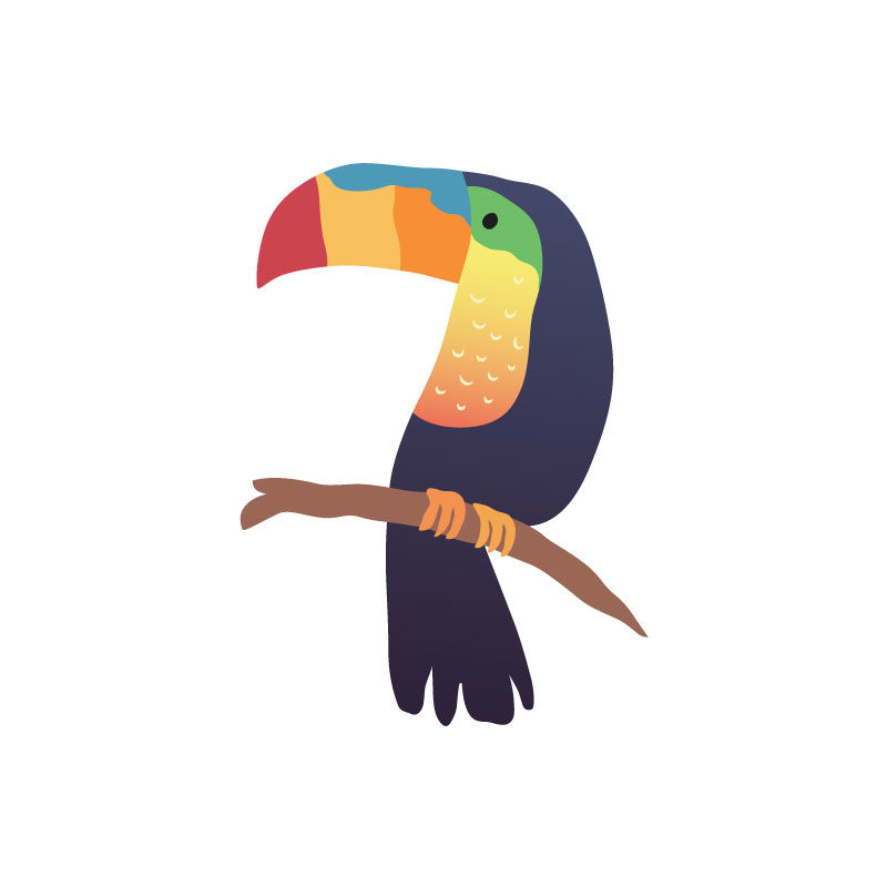 Tropical Icons Toucans