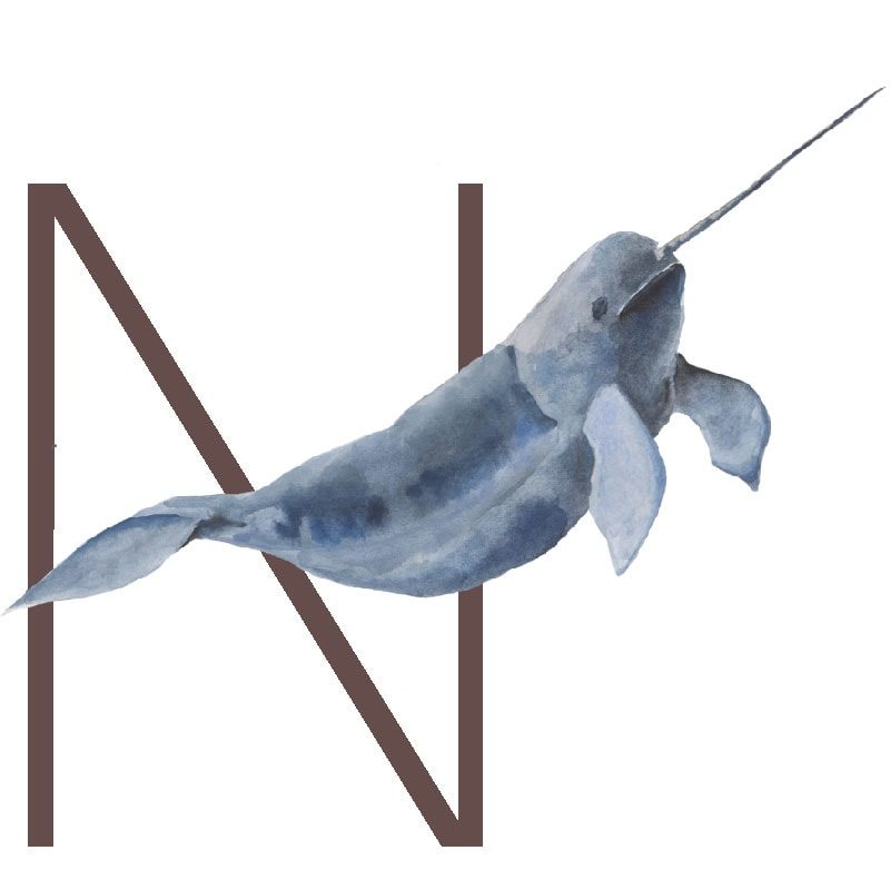 Animal Letters "N" in Abbott Animal Letters "N" in Abbott