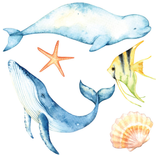 Ocean Wall Stickers Buy Online Or Call (03) 8774 2139