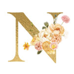 N Flower letter