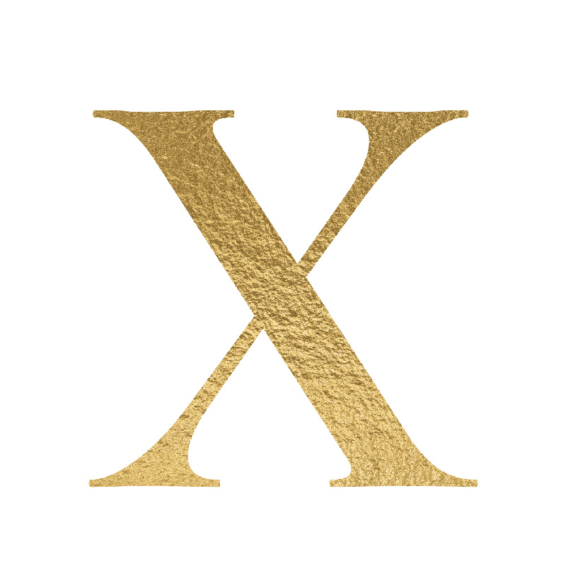 The Letter 'X' is written in capital letters in strong gold colour.