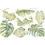 Tropical Leaves in Earth Green by Jasmine Illustrations