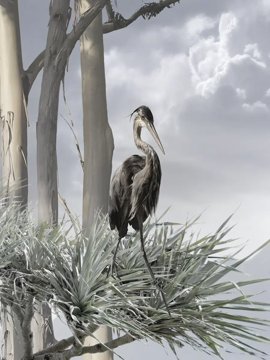 Valerie Sparks Custom Murals NGV artwork 1